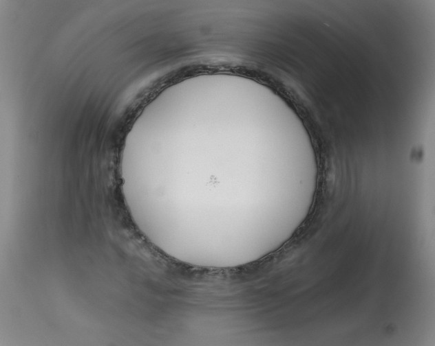 X0000113761016200910211204