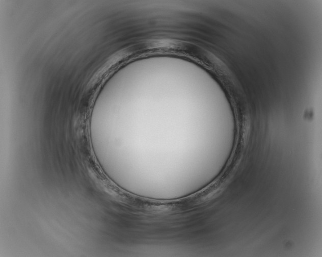 X0000113761017200910211204