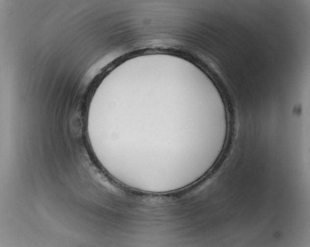 X0000113761018200910211204