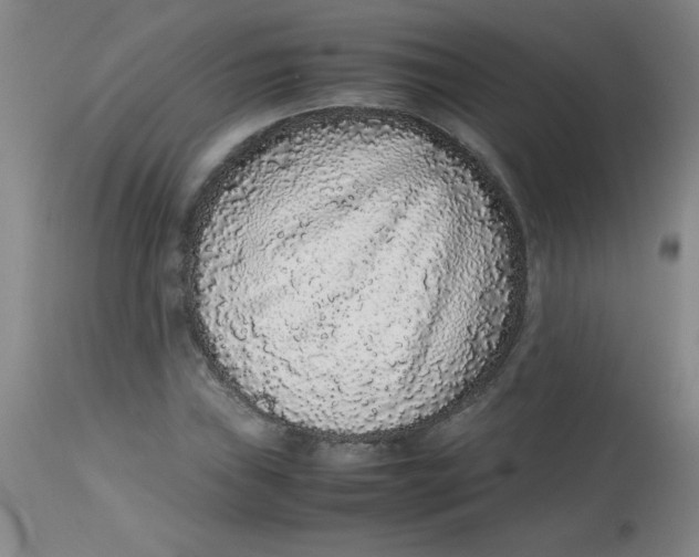 X0000113761019200910211204