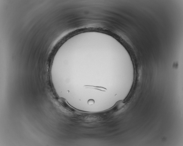 X0000113761021200910211204