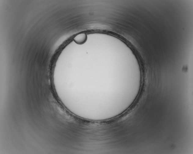 X0000113761022200910211204