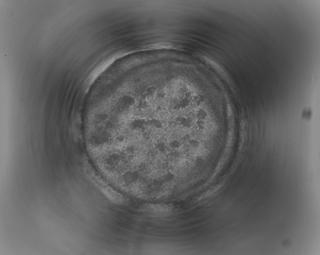 X0000113761023200910211204