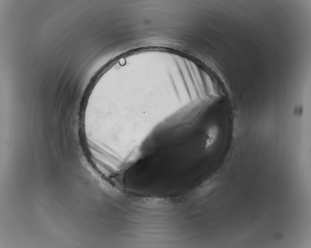 X0000113761024200910211204