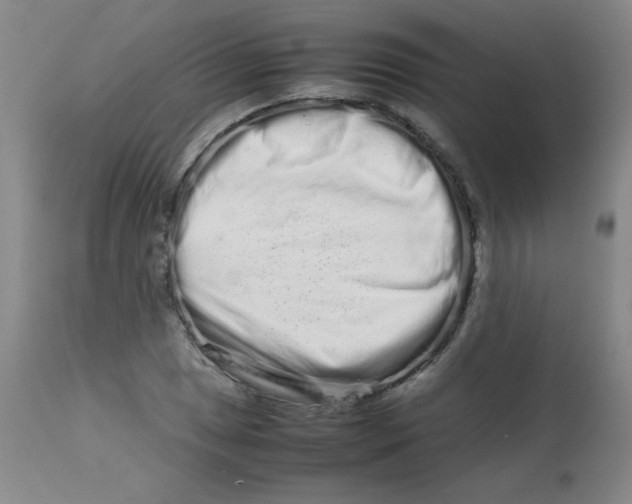 X0000113761025200910211204