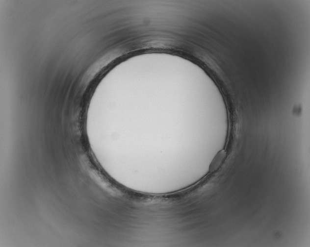 X0000113761026200910211204