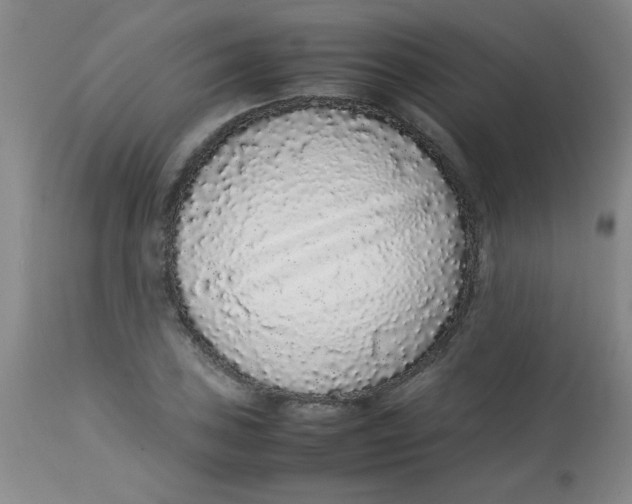 X0000113761027200910211204