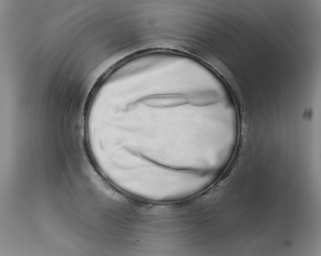 X0000113761028200910211204