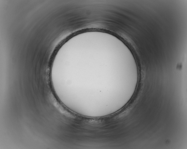 X0000113761029200910211204