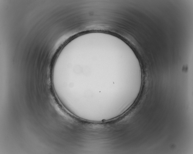 X0000113761030200910211204