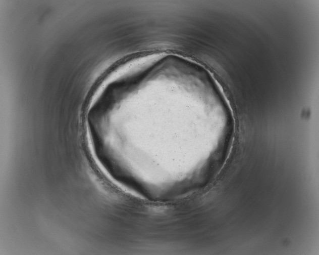 X0000113761031200910211204