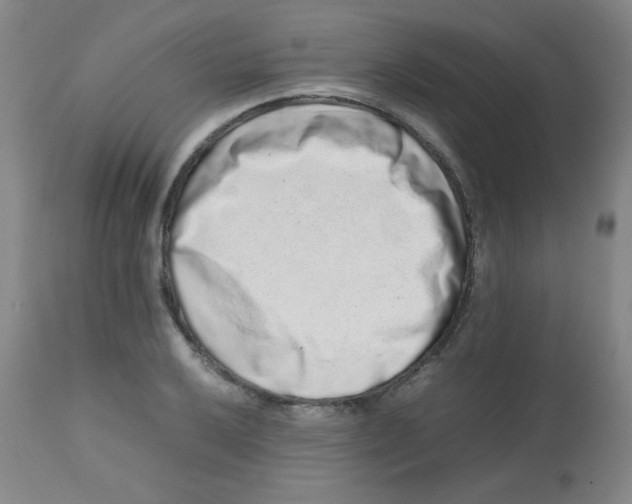 X0000113761032200910211204