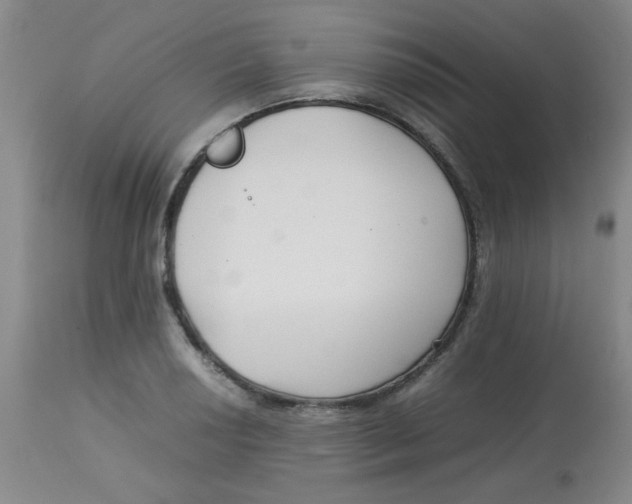 X0000113761034200910211204