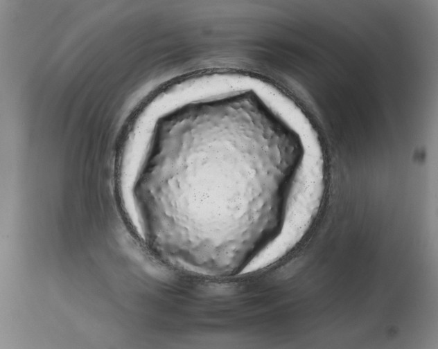 X0000113761035200910211204