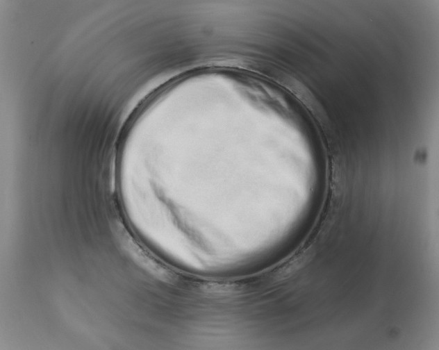 X0000113761036200910211204