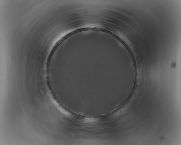 X0000113761037200910211204