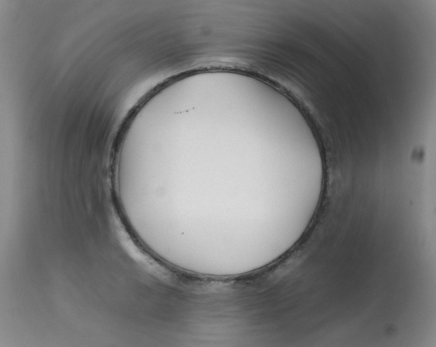 X0000113761038200910211204