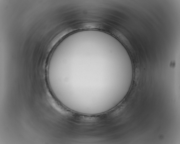 X0000113761039200910211204