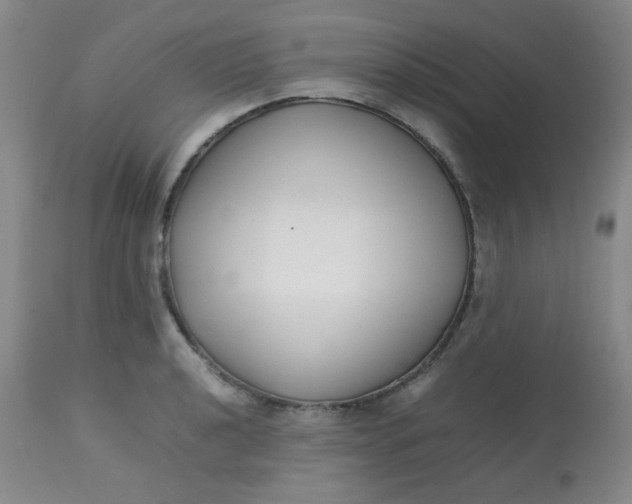 X0000113761040200910211204