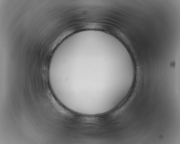 X0000113761041200910211204