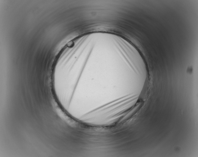 X0000113761042200910211204
