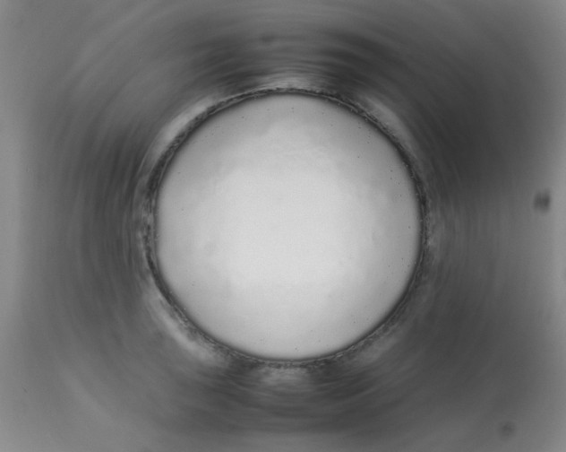 X0000113761043200910211205
