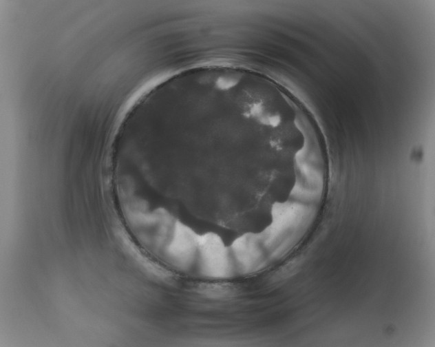 X0000113761045200910211205