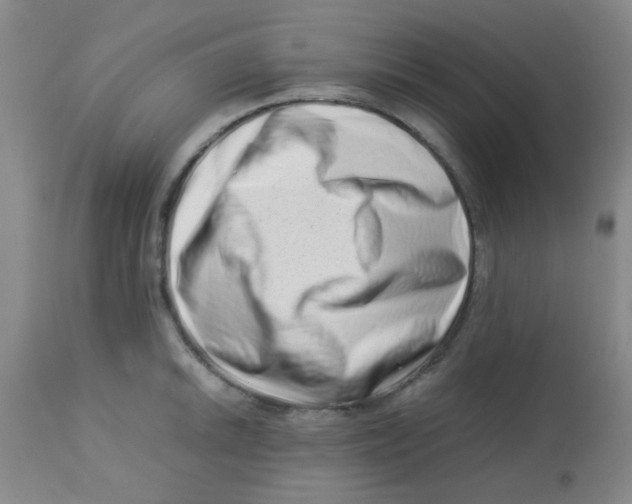 X0000113761046200910211205