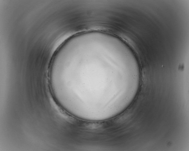 X0000113761047200910211205