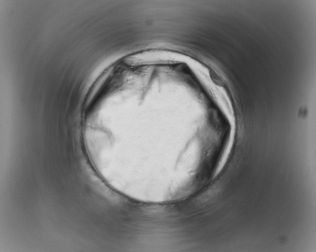 X0000113761048200910211205