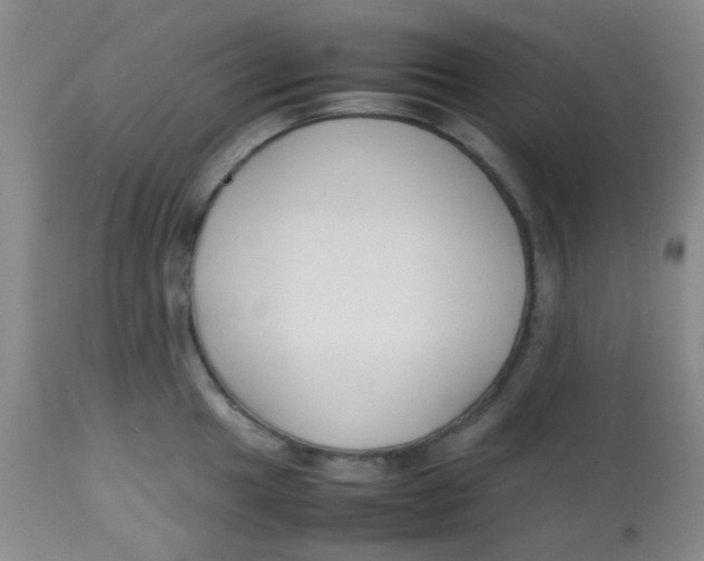 X0000113761049200910211205