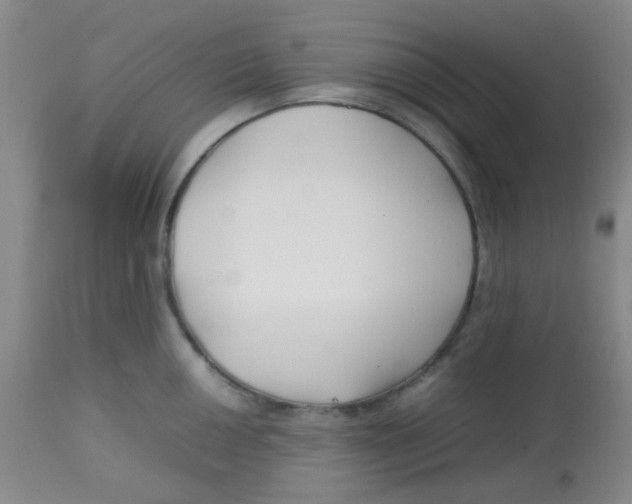 X0000113761050200910211205