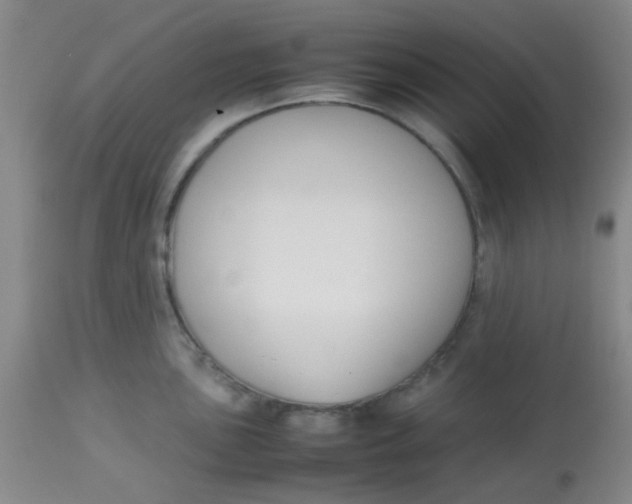 X0000113761051200910211205