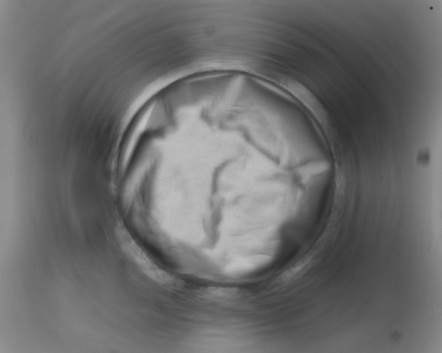 X0000113761052200910211205