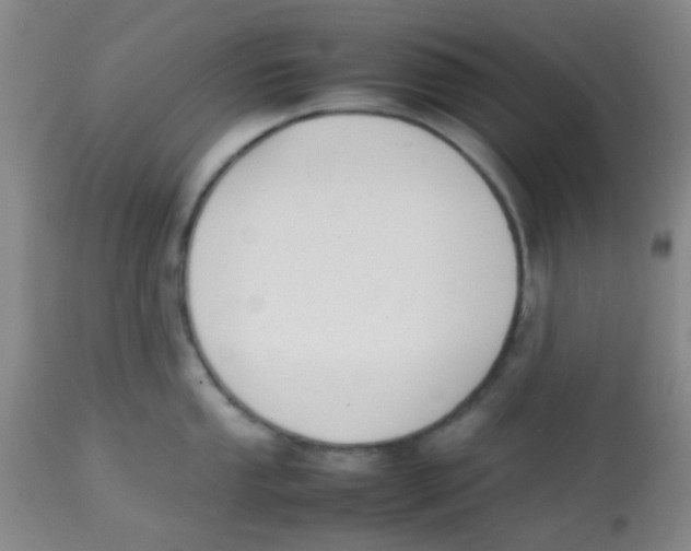X0000113761053200910211205