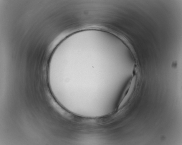 X0000113761054200910211205