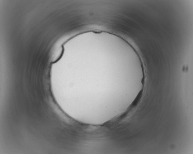 X0000113761056200910211205