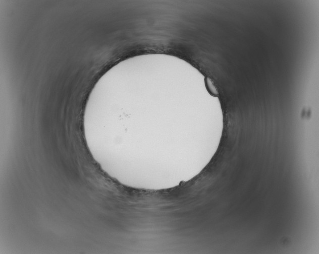 X0000113761057200910211204