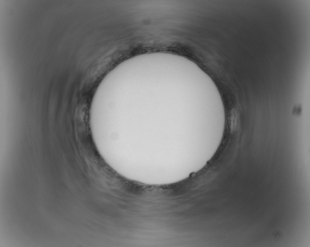 X0000113761059200910211204