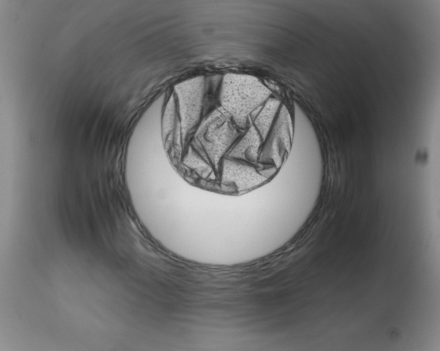 X0000113761060200910211204