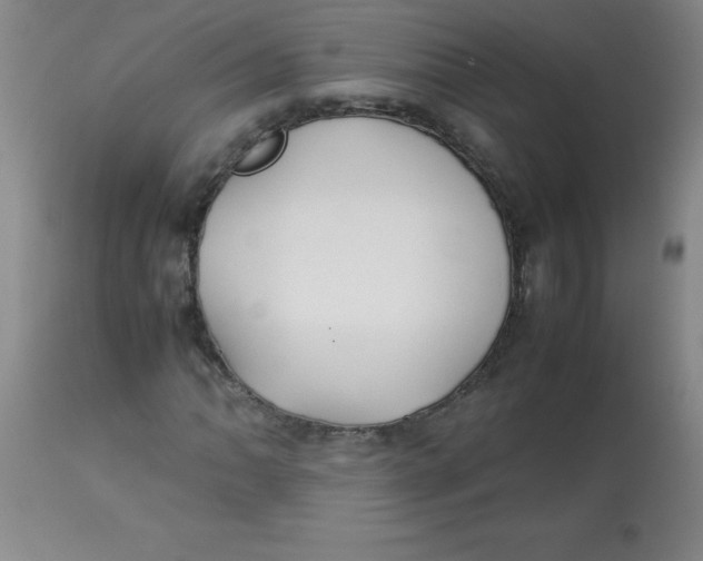 X0000113761062200910211204