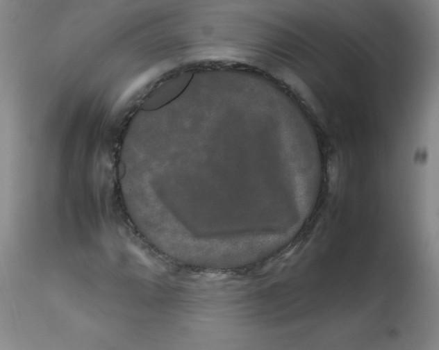 X0000113761064200910211204