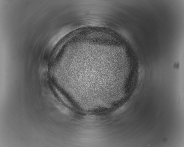X0000113761065200910211204