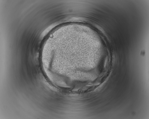 X0000113761066200910211204