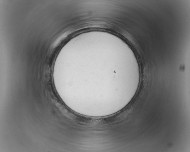 X0000113761067200910211204