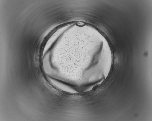 X0000113761068200910211204