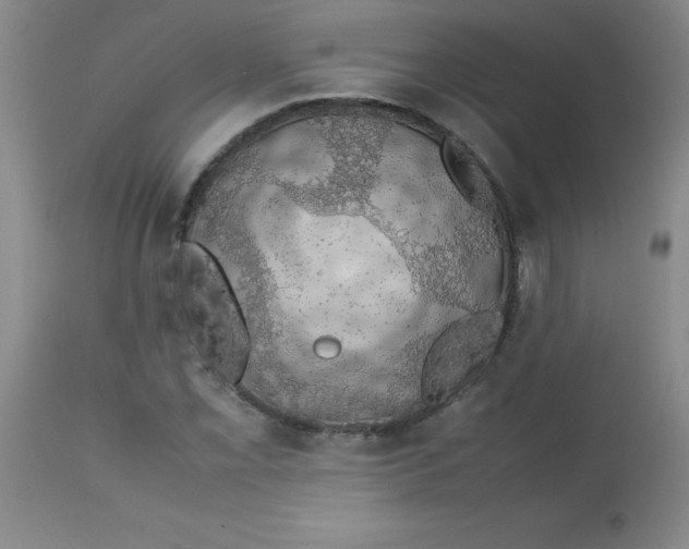 X0000113761069200910211204