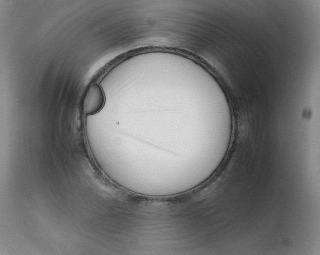 X0000113761070200910211204