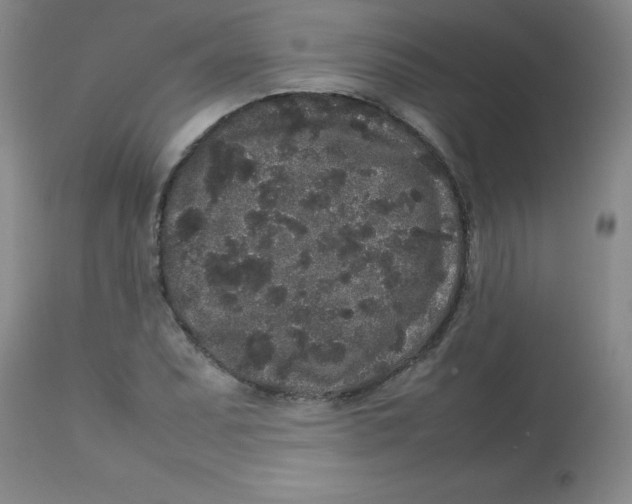 X0000113761071200910211204