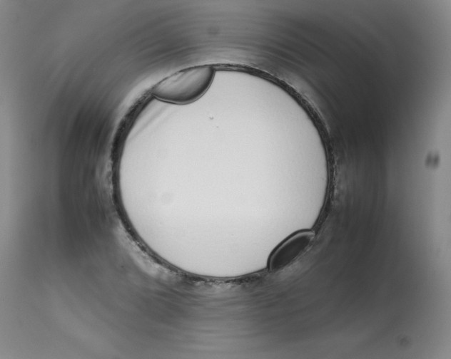 X0000113761072200910211204